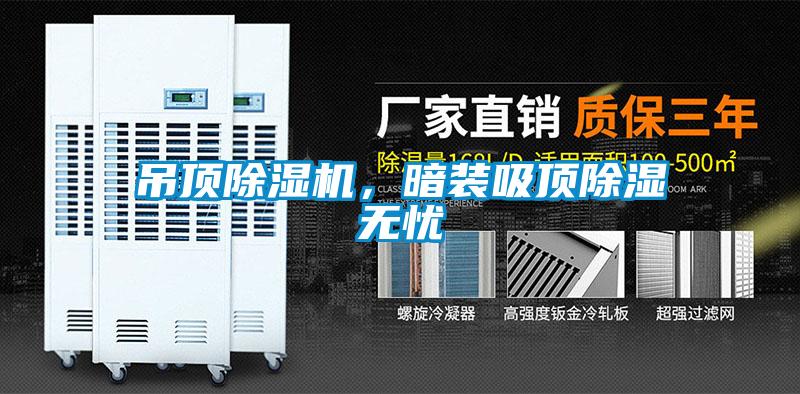 吊顶妖精网站入口，暗装吸顶除湿无忧