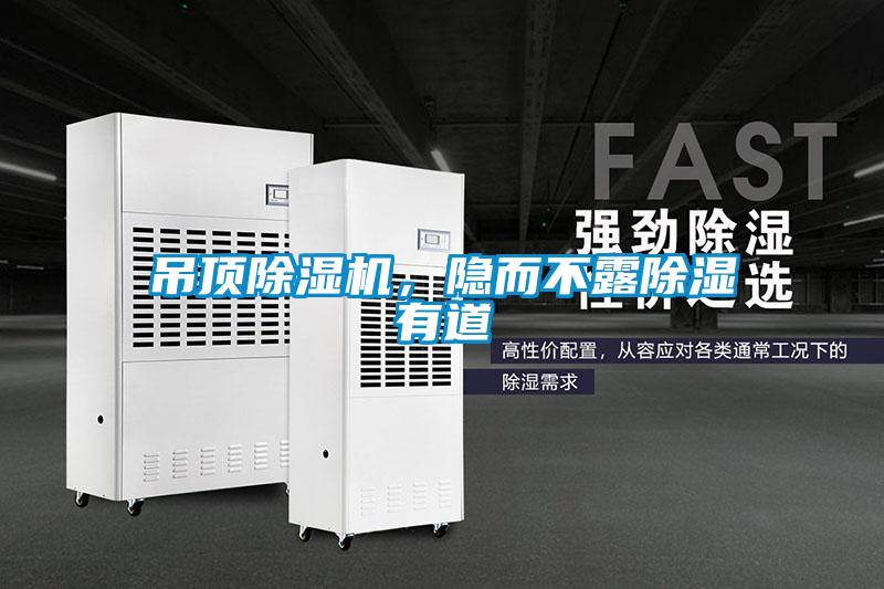 吊顶妖精网站入口，隐而不露除湿有道
