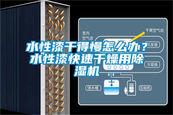 水性漆干得慢怎么办？水性漆快速干燥用妖精网站入口